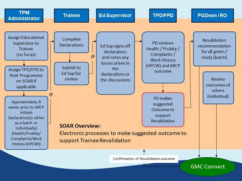 organogram