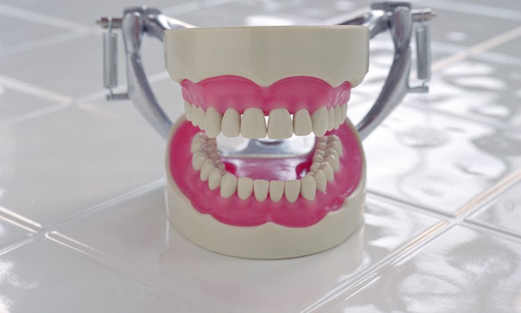 Dentistry