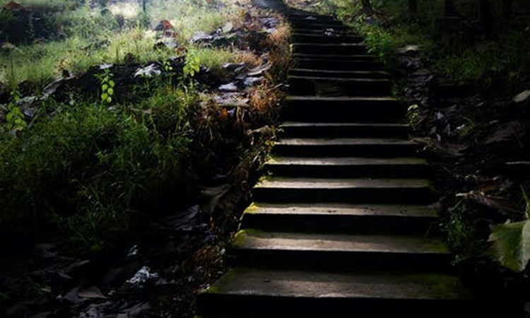 Scottish Trainee Enhanced Programme (STEP)