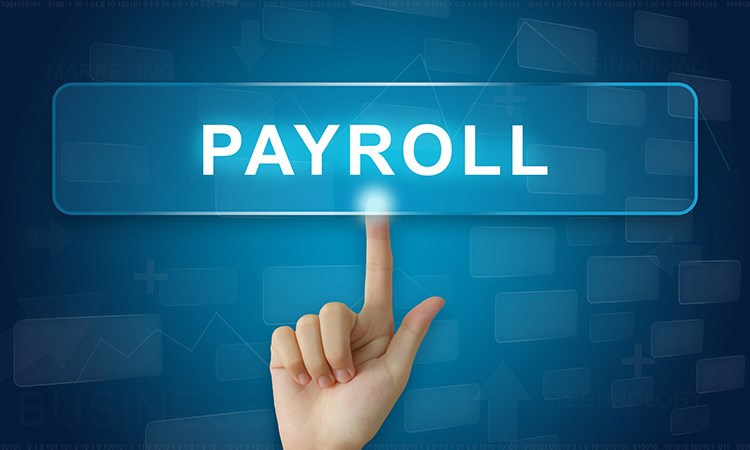 Payroll enquires