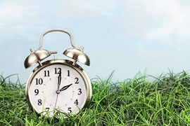 Clock sitting on grass