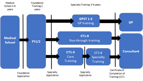 Training Progression Graphic