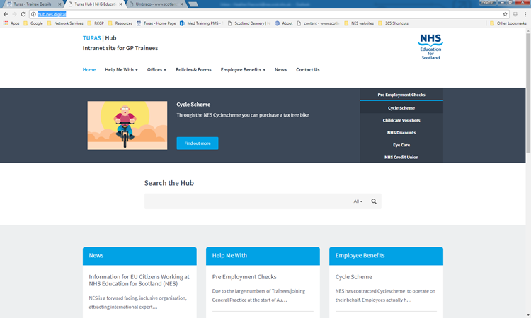 GP trainees as NES employees