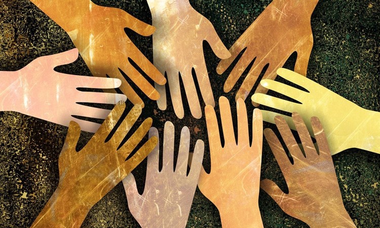 About the fellowship