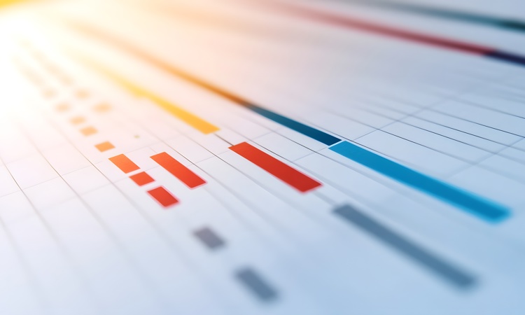 Recognised trainer pathway