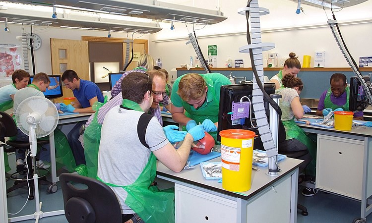 Core Surgical Training Programme (CST)